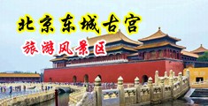 免费大几把草逼视频免费中国北京-东城古宫旅游风景区